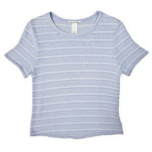 Caution To The Wind Baby Blue Striped Crop Tee | M